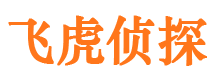 平顶山私人调查